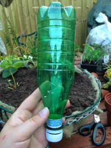 DIY watering system (drip  feed from soda bottles)  London to Land Girl