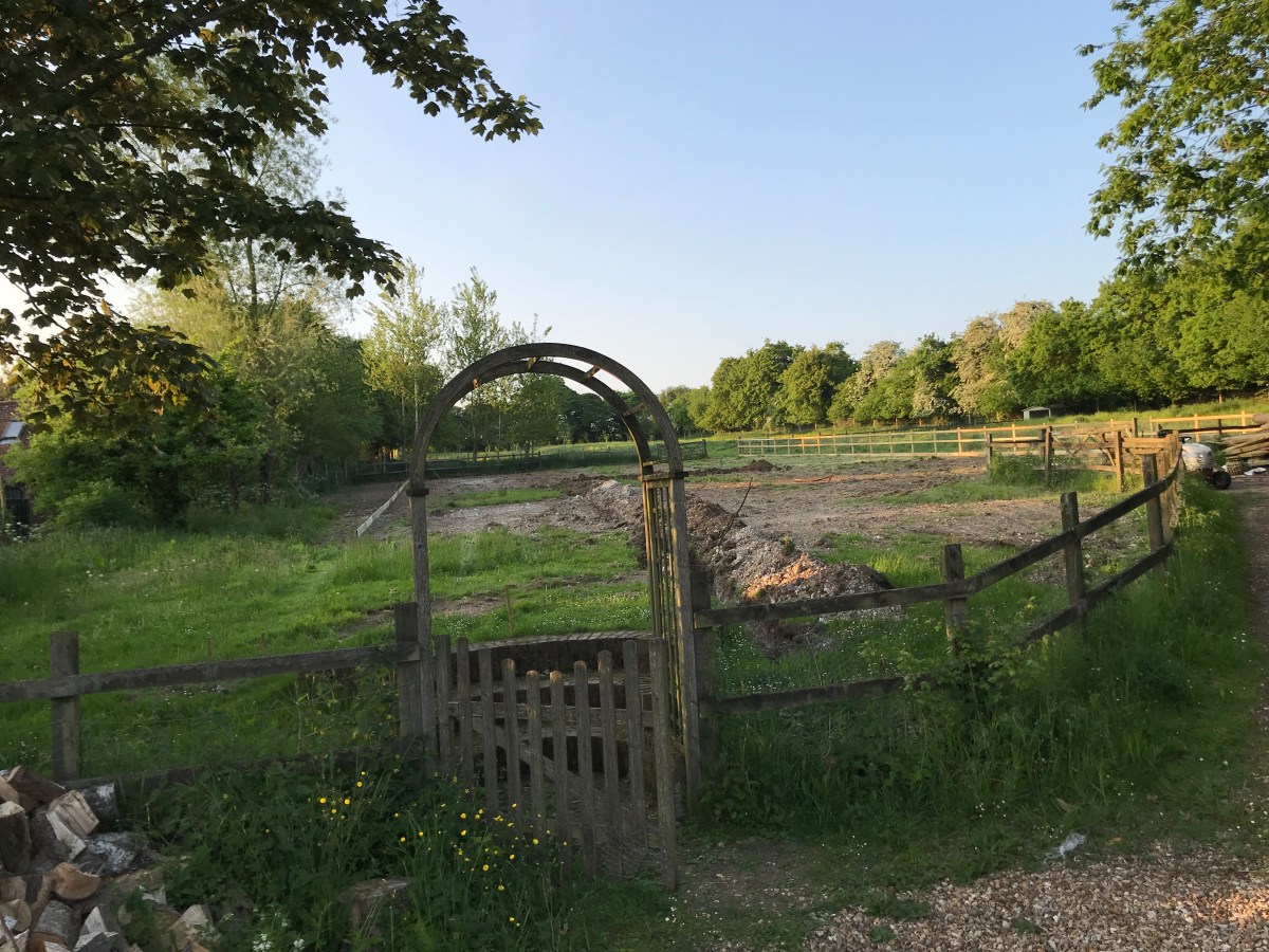 Smallholding Building a smallholding – London to Land Girl