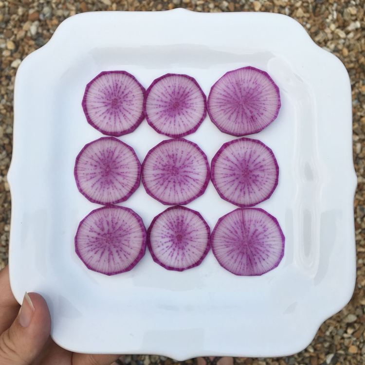 102b59c5-1a6c-441f-a410-5b69f92273b2